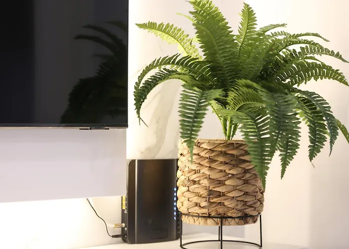 Appartement A Casinha Avo Mariana 53